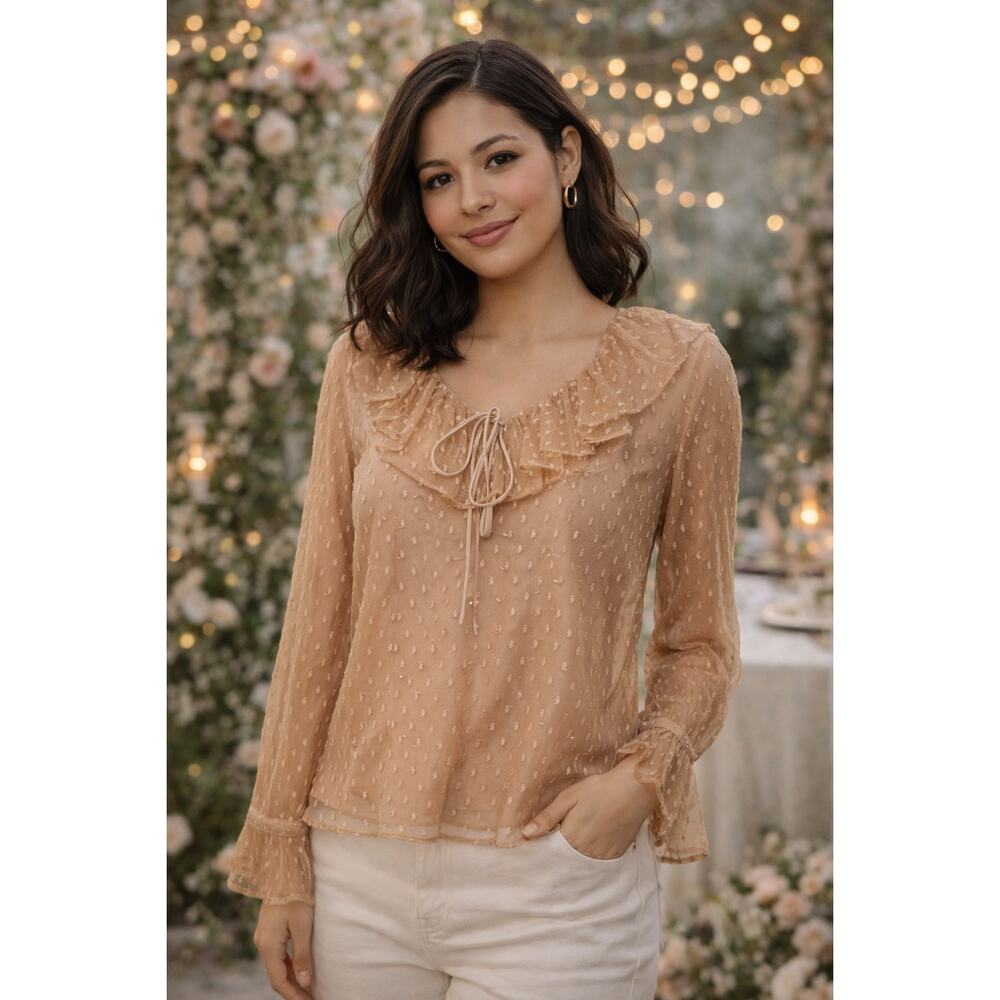 J.Crew Bronze Clay‎ Boho Ruffled Romantic Sheer Clip Dot Blouse Women's S
